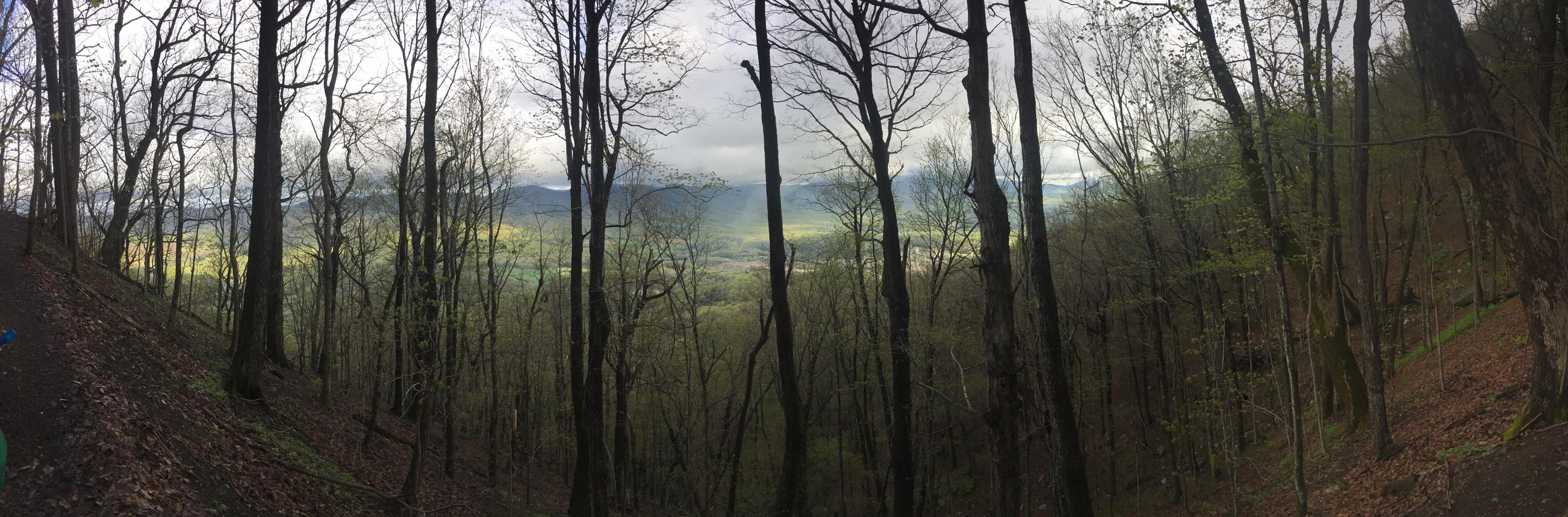 Tinker's Cliff mountain in Virginia